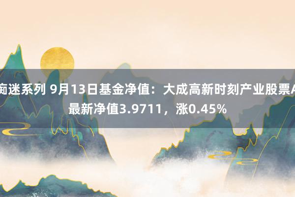 痴迷系列 9月13日基金净值：大成高新时刻产业股票A最新净值3.9711，涨0.45%