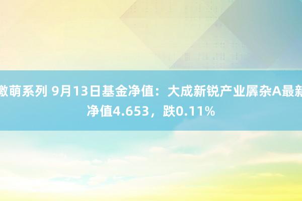 激萌系列 9月13日基金净值：大成新锐产业羼杂A最新净值4.653，跌0.11%