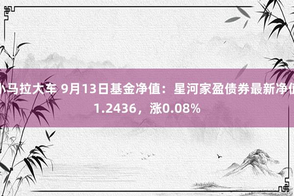 小马拉大车 9月13日基金净值：星河家盈债券最新净值1.2436，涨0.08%