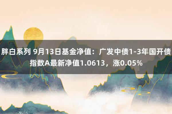 胖白系列 9月13日基金净值：广发中债1-3年国开债指数A最新净值1.0613，涨0.05%