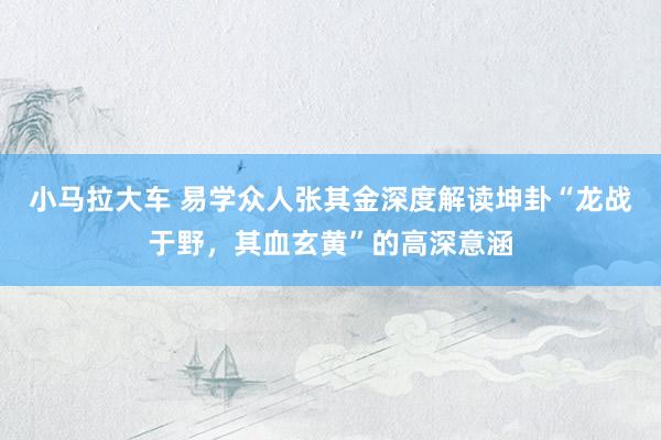 小马拉大车 易学众人张其金深度解读坤卦“龙战于野，其血玄黄”的高深意涵