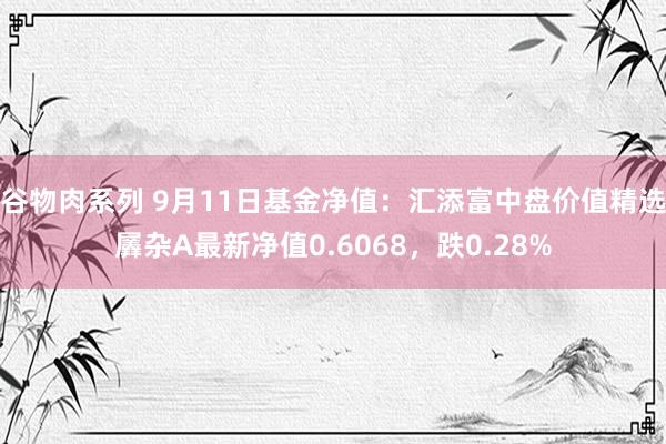 谷物肉系列 9月11日基金净值：汇添富中盘价值精选羼杂A最新净值0.6068，跌0.28%