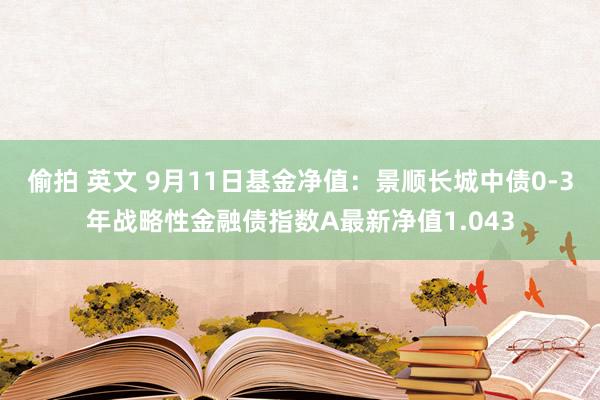 偷拍 英文 9月11日基金净值：景顺长城中债0-3年战略性金融债指数A最新净值1.043