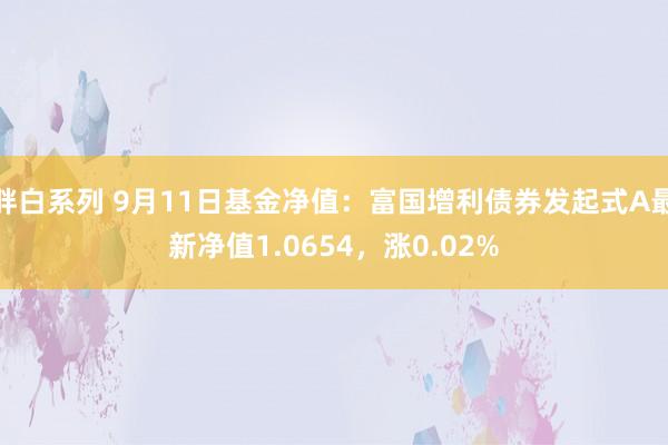 胖白系列 9月11日基金净值：富国增利债券发起式A最新净值1.0654，涨0.02%