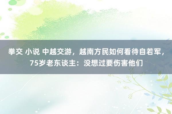 拳交 小说 中越交游，越南方民如何看待自若军，75岁老东谈主：没想过要伤害他们