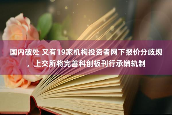 国内破处 又有19家机构投资者网下报价分歧规，上交所将完善科创板刊行承销轨制