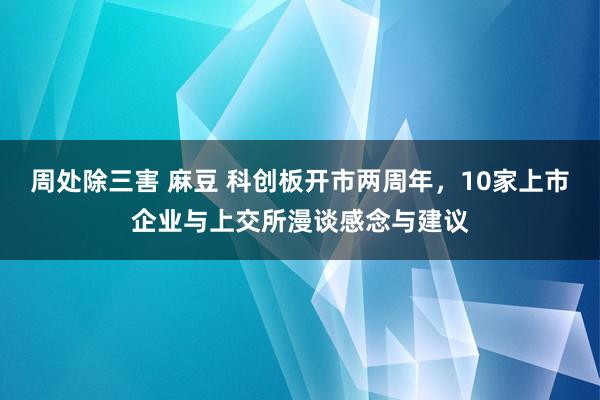 周处除三害 麻豆 科创板开市两周年，10家上市企业与上交所漫谈感念与建议