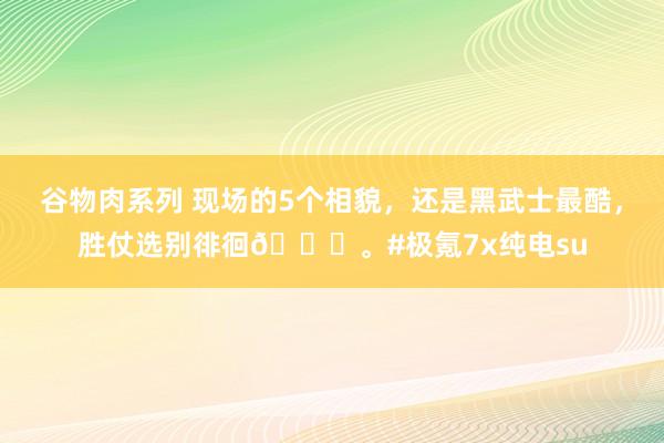 谷物肉系列 现场的5个相貌，还是黑武士最酷，胜仗选别徘徊😎。#极氪7x纯电su