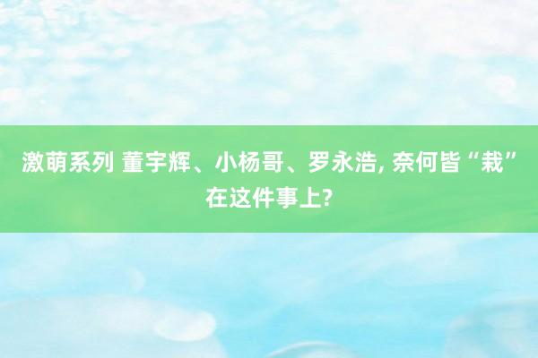 激萌系列 董宇辉、小杨哥、罗永浩， 奈何皆“栽”在这件事上?