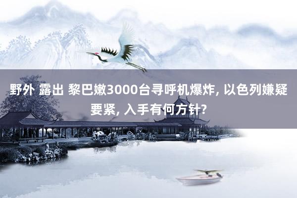 野外 露出 黎巴嫩3000台寻呼机爆炸， 以色列嫌疑要紧， 入手有何方针?