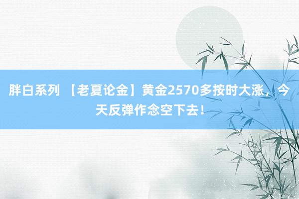 胖白系列 【老夏论金】黄金2570多按时大涨，今天反弹作念空下去！