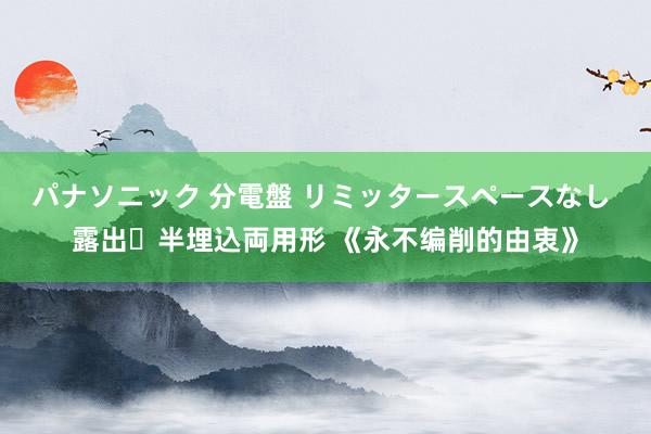 パナソニック 分電盤 リミッタースペースなし 露出・半埋込両用形 《永不编削的由衷》