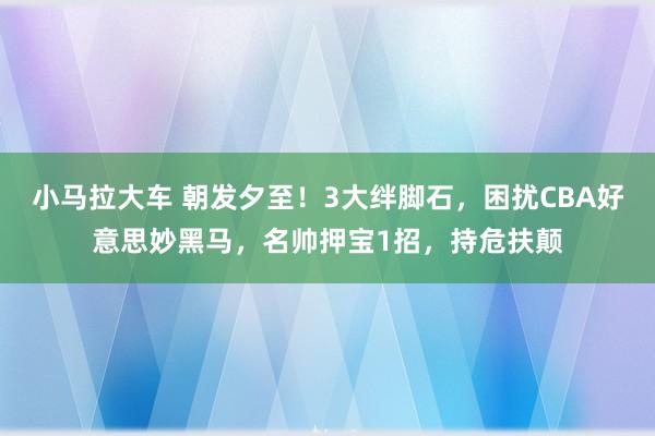 小马拉大车 朝发夕至！3大绊脚石，困扰CBA好意思妙黑马，名帅押宝1招，持危扶颠