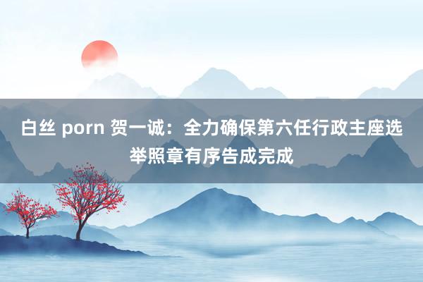 白丝 porn 贺一诚：全力确保第六任行政主座选举照章有序告成完成