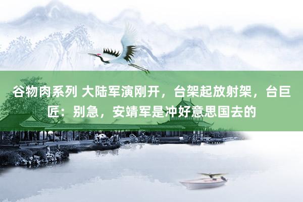 谷物肉系列 大陆军演刚开，台架起放射架，台巨匠：别急，安靖军是冲好意思国去的