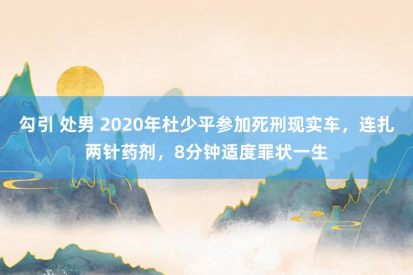 勾引 处男 2020年杜少平参加死刑现实车，连扎两针药剂，8分钟适度罪状一生