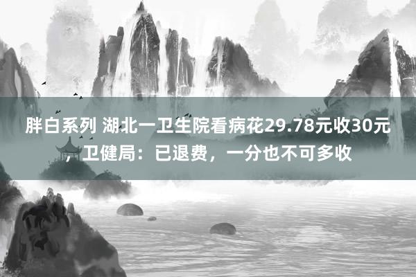 胖白系列 湖北一卫生院看病花29.78元收30元，卫健局：已退费，一分也不可多收