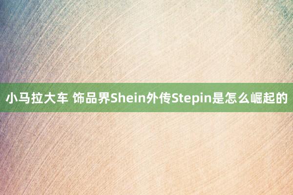 小马拉大车 饰品界Shein外传Stepin是怎么崛起的