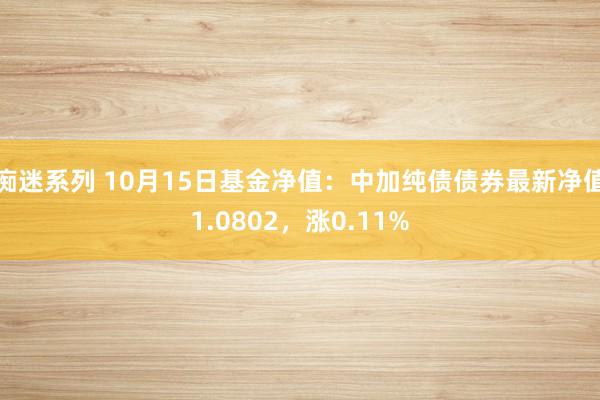 痴迷系列 10月15日基金净值：中加纯债债券最新净值1.0802，涨0.11%