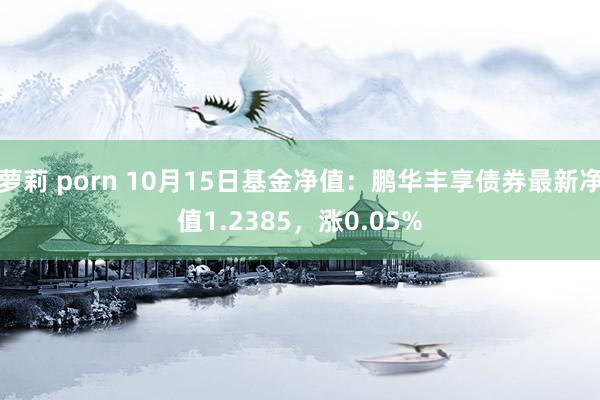 萝莉 porn 10月15日基金净值：鹏华丰享债券最新净值1.2385，涨0.05%