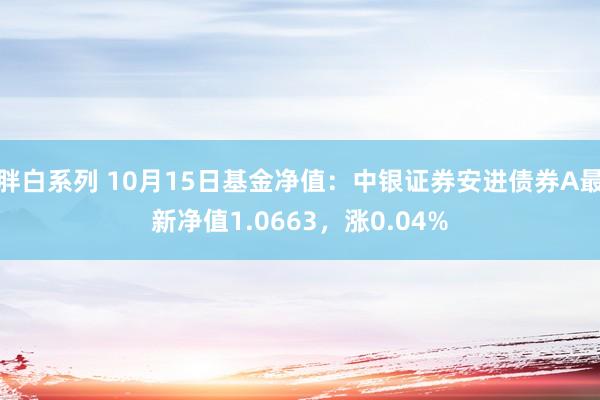 胖白系列 10月15日基金净值：中银证券安进债券A最新净值1.0663，涨0.04%