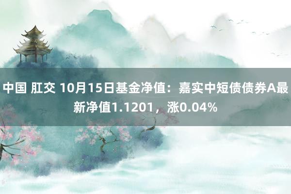 中国 肛交 10月15日基金净值：嘉实中短债债券A最新净值1.1201，涨0.04%