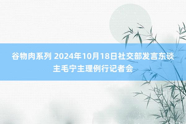 谷物肉系列 2024年10月18日社交部发言东谈主毛宁主理例行记者会