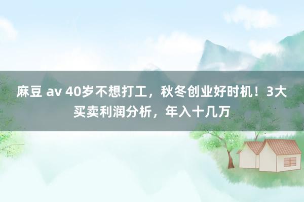 麻豆 av 40岁不想打工，秋冬创业好时机！3大买卖利润分析，年入十几万