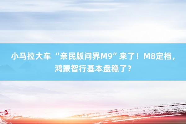 小马拉大车 “亲民版问界M9”来了！M8定档，鸿蒙智行基本盘稳了？