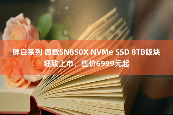 胖白系列 西数SN850X NVMe SSD 8TB版块细致上市，售价6999元起