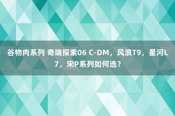 谷物肉系列 奇瑞探索06 C-DM，风浪T9，星河L7，宋P系列如何选？