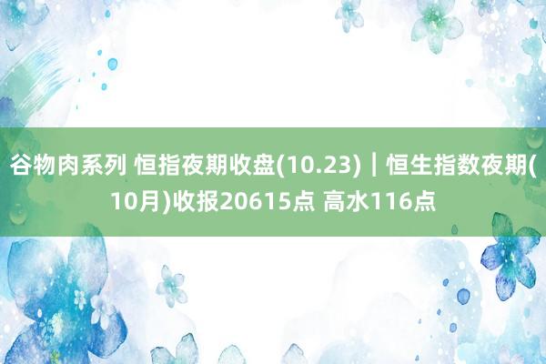 谷物肉系列 恒指夜期收盘(10.23)︱恒生指数夜期(10月)收报20615点 高水116点