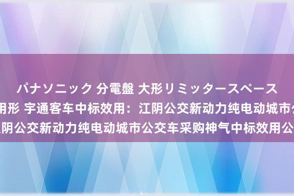 パナソニック 分電盤 大形リミッタースペースなし 露出・半埋込両用形 宇通客车中标效用：江阴公交新动力纯电动城市公交车采购神气中标效用公告