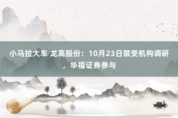 小马拉大车 龙高股份：10月23日禁受机构调研，华福证券参与