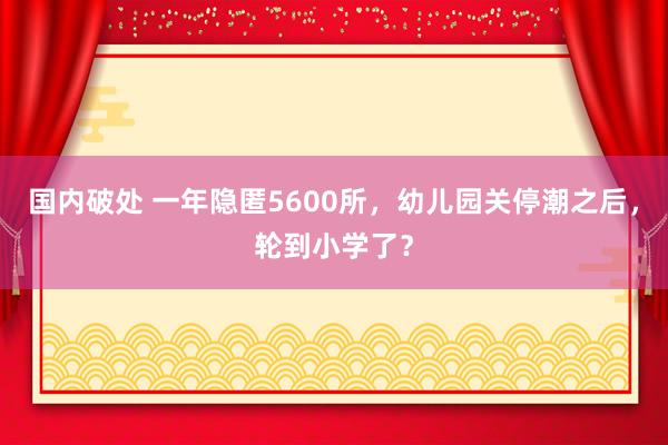 国内破处 一年隐匿5600所，幼儿园关停潮之后，轮到小学了？