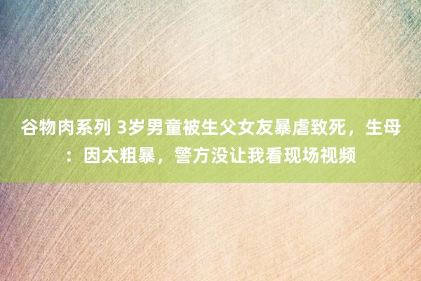 谷物肉系列 3岁男童被生父女友暴虐致死，生母：因太粗暴，警方没让我看现场视频