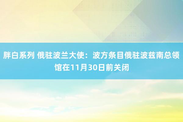 胖白系列 俄驻波兰大使：波方条目俄驻波兹南总领馆在11月30日前关闭