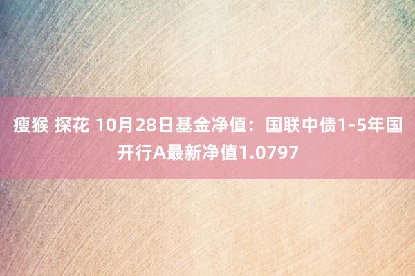 瘦猴 探花 10月28日基金净值：国联中债1-5年国开行A最新净值1.0797