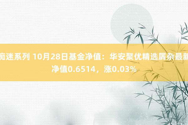 痴迷系列 10月28日基金净值：华安聚优精选羼杂最新净值0.6514，涨0.03%