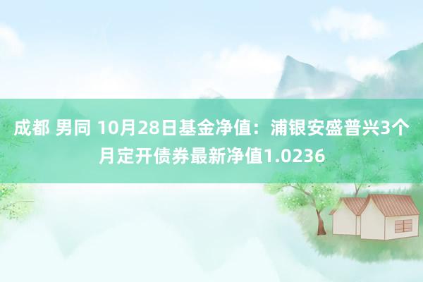 成都 男同 10月28日基金净值：浦银安盛普兴3个月定开债券最新净值1.0236