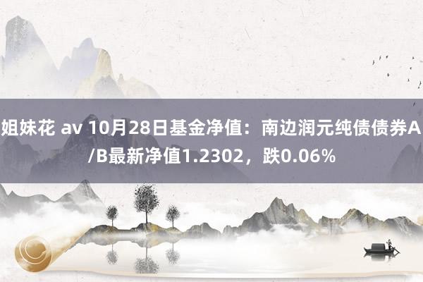 姐妹花 av 10月28日基金净值：南边润元纯债债券A/B最新净值1.2302，跌0.06%