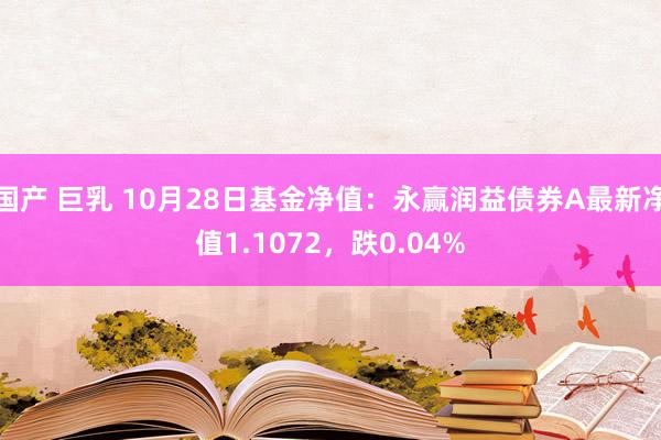 国产 巨乳 10月28日基金净值：永赢润益债券A最新净值1.1072，跌0.04%