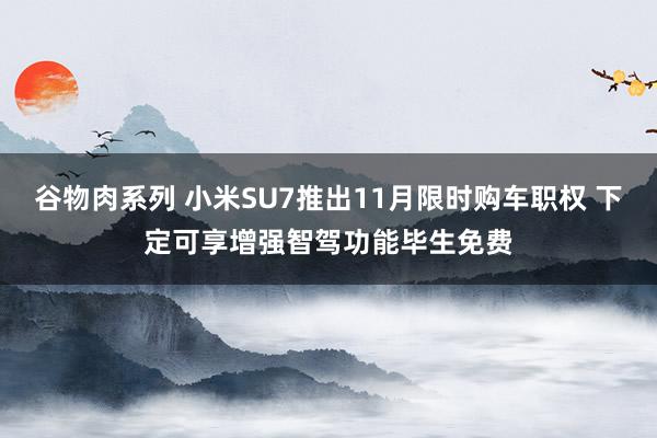 谷物肉系列 小米SU7推出11月限时购车职权 下定可享增强智驾功能毕生免费