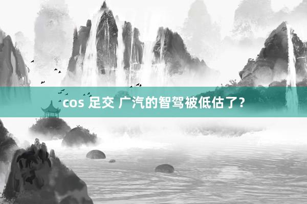 cos 足交 广汽的智驾被低估了？