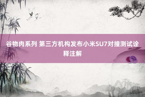 谷物肉系列 第三方机构发布小米SU7对撞测试诠释注解