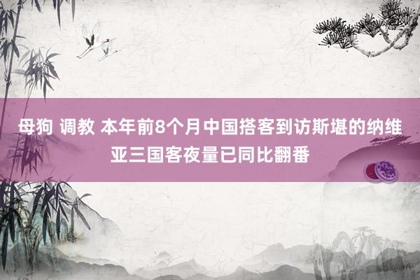 母狗 调教 本年前8个月中国搭客到访斯堪的纳维亚三国客夜量已同比翻番