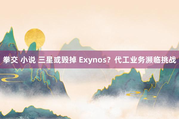 拳交 小说 三星或毁掉 Exynos？代工业务濒临挑战