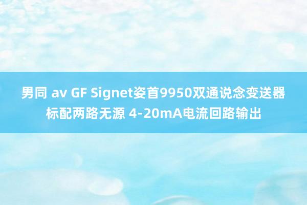 男同 av GF Signet姿首9950双通说念变送器标配两路无源 4-20mA电流回路输出