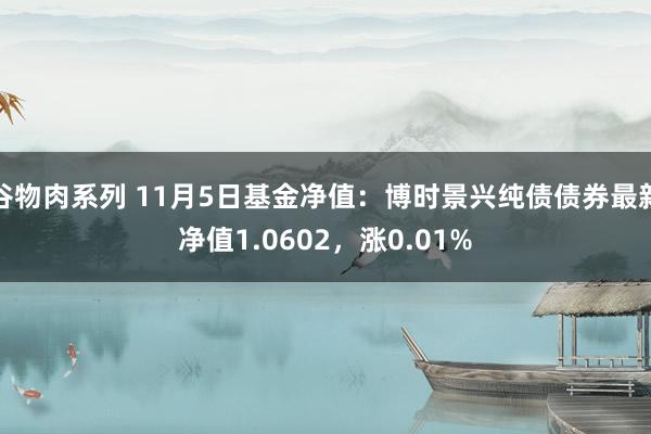 谷物肉系列 11月5日基金净值：博时景兴纯债债券最新净值1.0602，涨0.01%