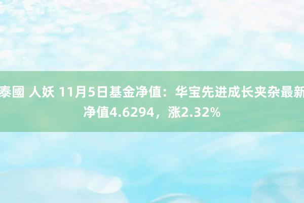 泰國 人妖 11月5日基金净值：华宝先进成长夹杂最新净值4.6294，涨2.32%